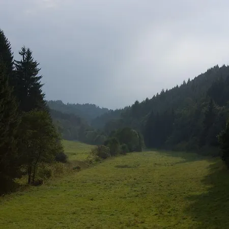 Studiohaus Haus Roswitha * Geisfeld (Rhineland-Palatinate)