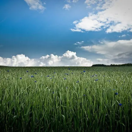 Studiohaus Haus Roswitha Apartmán Geisfeld (Rhineland-Palatinate)