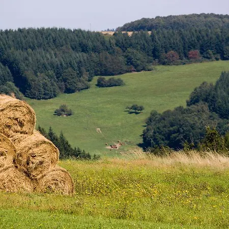 Studiohaus Haus Roswitha Διαμέρισμα *