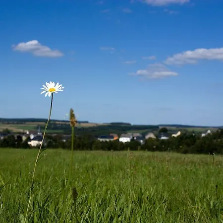 Apartment Studiohaus Haus Roswitha