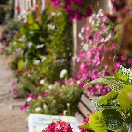 Apartmán Studiohaus Haus Roswitha *