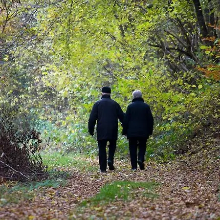 Studiohaus Haus Roswitha *