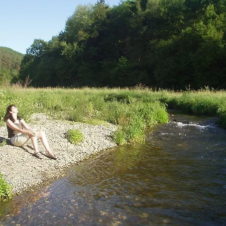 Studiohaus Haus Roswitha Apartment *