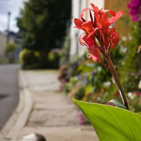 Studiohaus Haus Roswitha * Geisfeld (Rhineland-Palatinate)