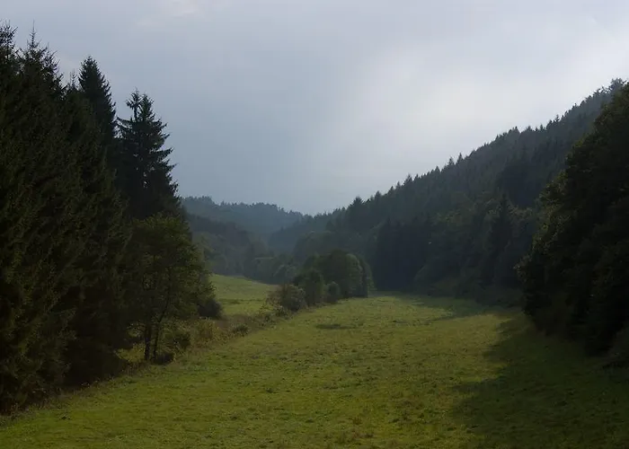 Studiohaus Haus Roswitha * Geisfeld (Rhineland-Palatinate)