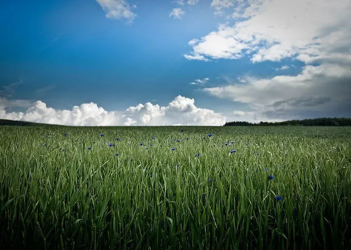 Studiohaus Haus Roswitha 公寓 Geisfeld (Rhineland-Palatinate)