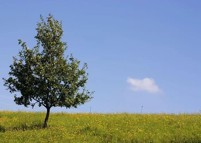 Studiohaus Haus Roswitha