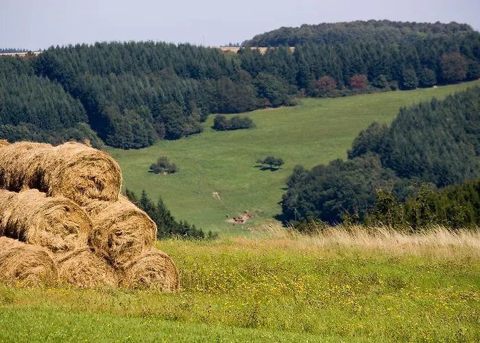 Studiohaus Haus Roswitha 公寓 *