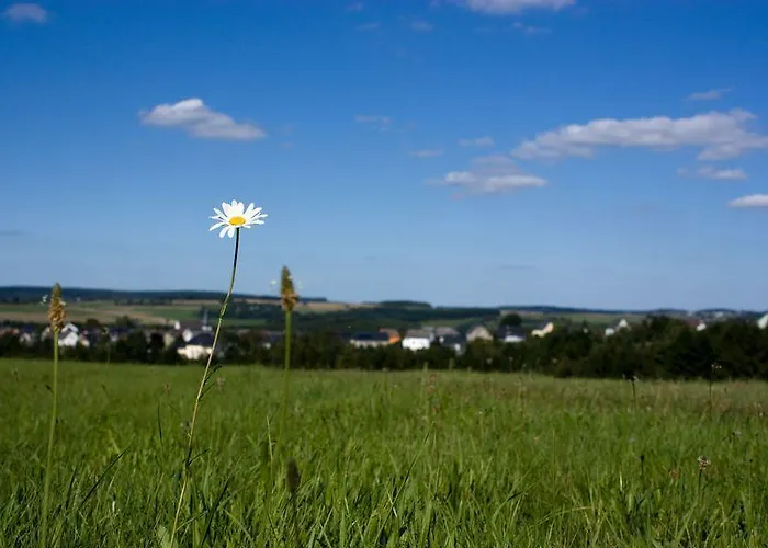 公寓 Studiohaus Haus Roswitha