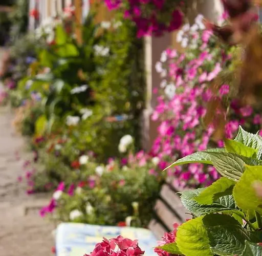 Appartement Studiohaus Haus Roswitha *