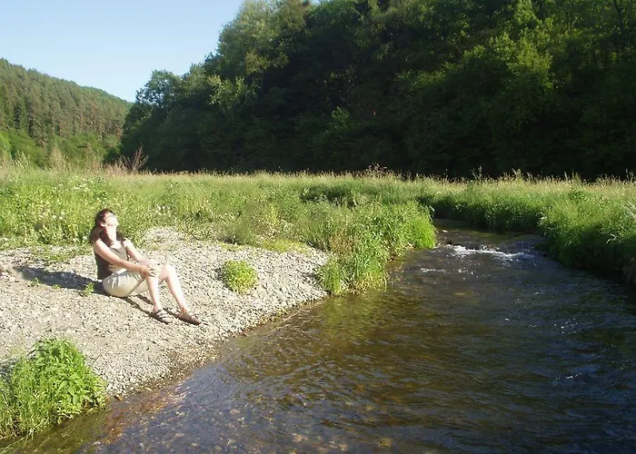 Studiohaus Haus Roswitha 公寓 *