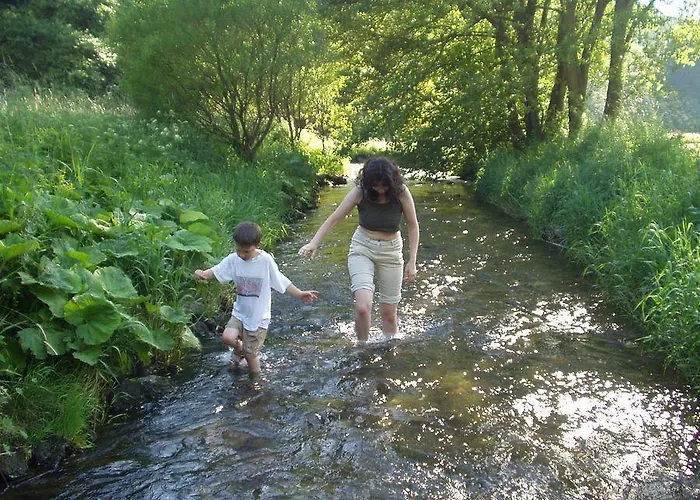 公寓 Studiohaus Haus Roswitha Geisfeld (Rhineland-Palatinate)