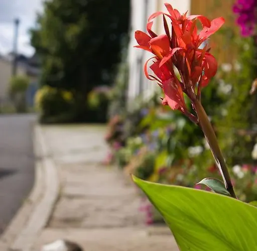Studiohaus Haus Roswitha * Geisfeld (Rhineland-Palatinate)