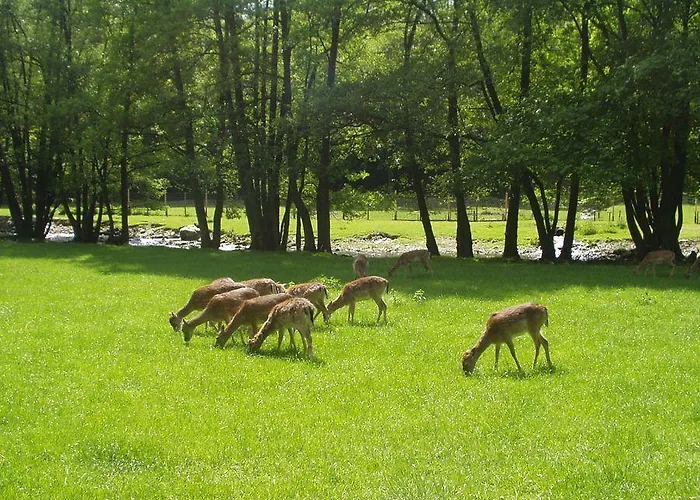 公寓 Studiohaus Haus Roswitha